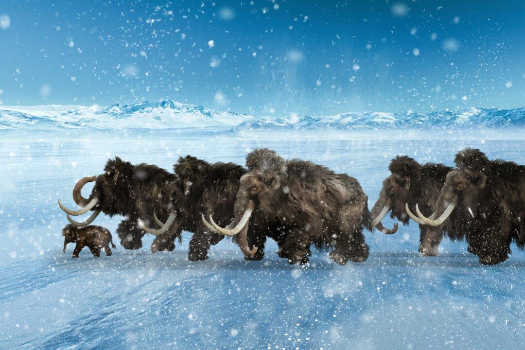 Truth and Freedom in the Age of Science