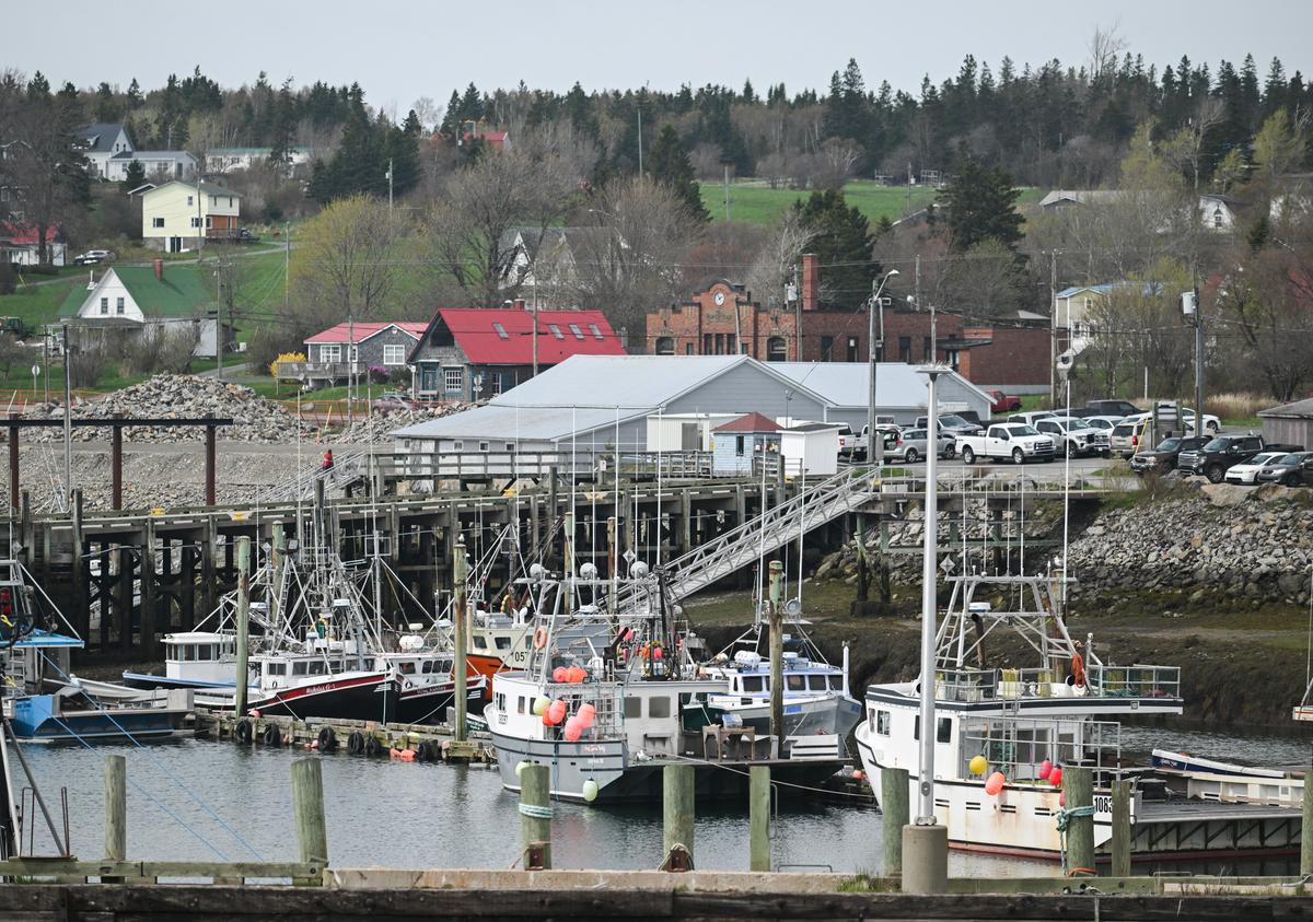 NB Seafood Company Fined $1M for Foreign Worker Program Violation