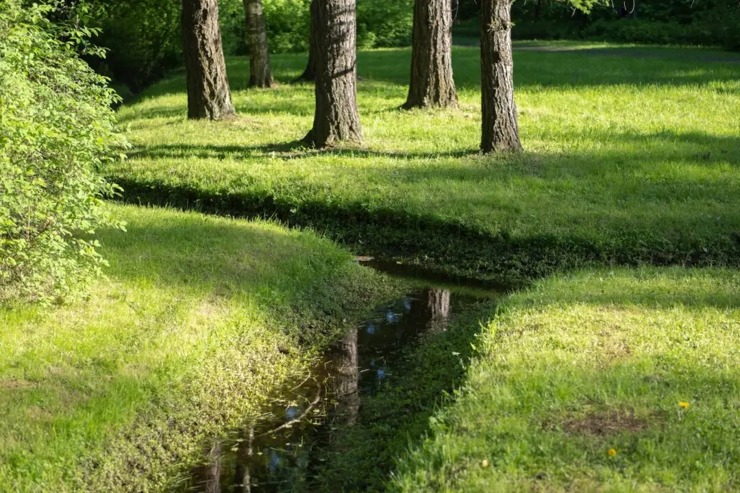 Be Sure Building Lot Has Adequate Drainage