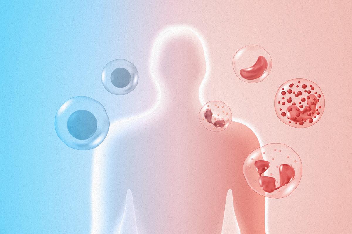 How This Nobel Discovery Could Transform Autoimmune and Cancer Treatment