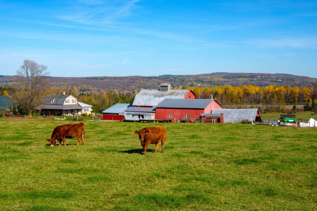 As China Buys Up Farmland Abroad, How Is Canada Responding?