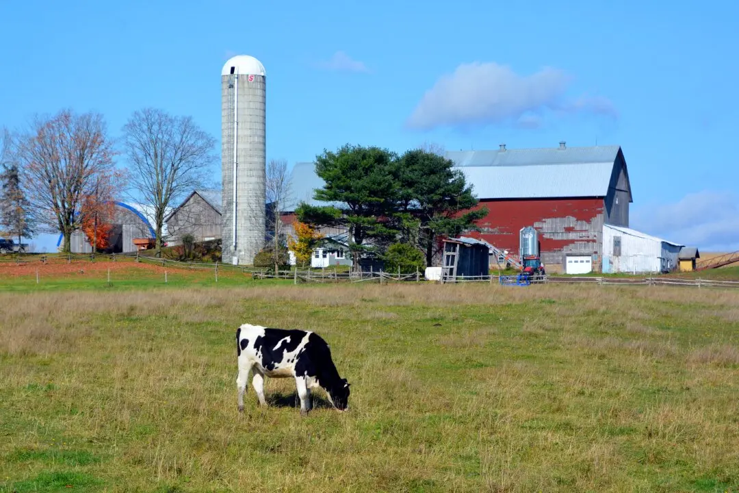 Farmers Lose the Tax Fight