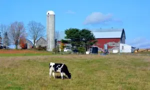 Farmers Lose the Tax Fight