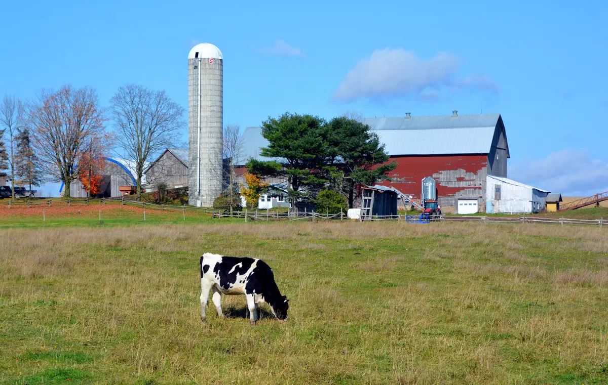 Farmers Lose the Tax Fight
