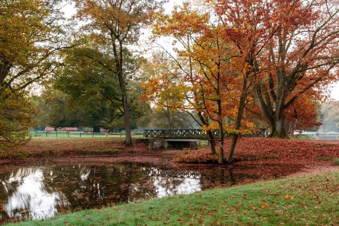 Harriet S. Caswell’s Commentary, ‘Thoughts on Autumn’