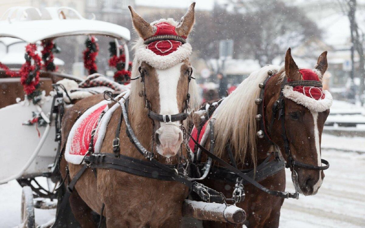 Horse-drawn carriage rides are part of the holiday fun at Mountain Lake Lodge in Pembroke, Virginia. (Mountain Lake Lodge)