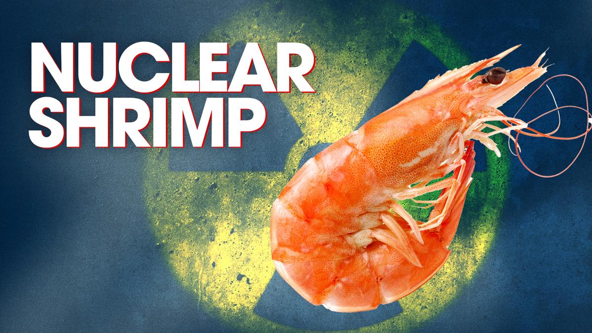 Report Uncovers Source of Radioactive Isotope-Tainted Shrimp at Walmart, and It’s Not What You Think | Facts Matter thumbnail