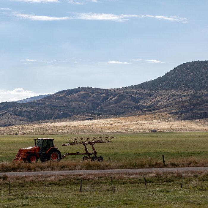 Here’s What Farmers Can Expect to Receive in Payments From Trump’s Aid Package