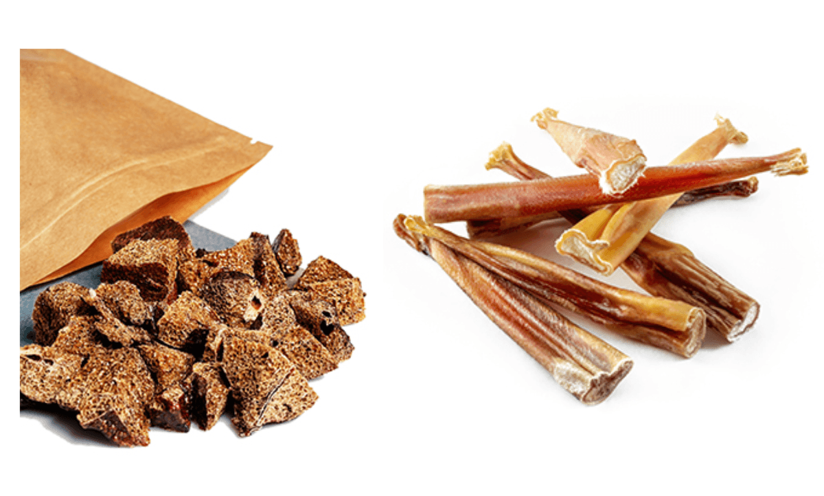 Salmonella Outbreak in Canada Linked to Dog Treats: Public Health Notice