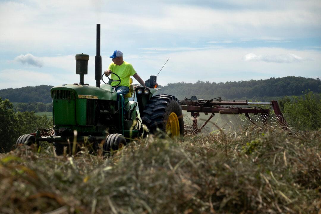 USDA to Resume Farmer Aid Distribution Frozen by Government Shutdown