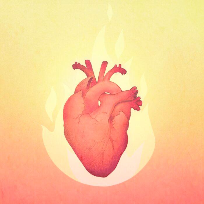 Heart: The Monarch Organ That Governs Joy–Ways to Nourish It