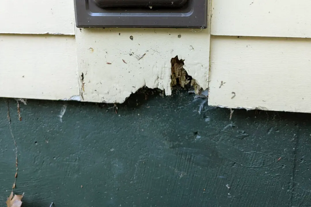 Ask the Builder: Repairing Wood Rot