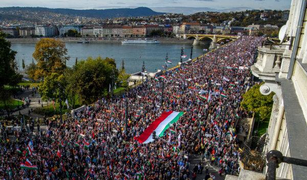 Day in Photos: Peace March in Budapest, Austria-Italy Rail Tunnel, Jacaranda Trees in Australia