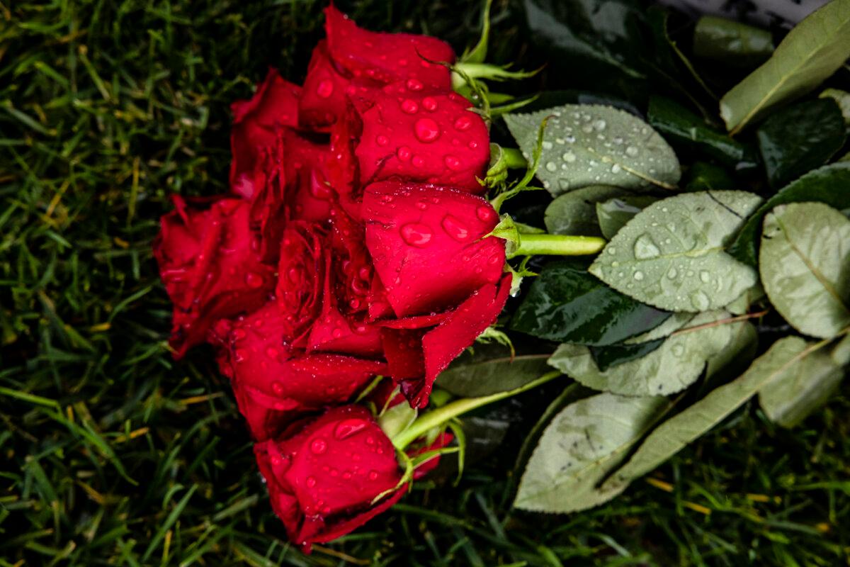A bouquet of roses rests at the base of the headstone of a fallen soldier at Arlington National Cemetery in Arlington, Va., on Nov. 11, 2020. (Samuel Corum/Getty Images)