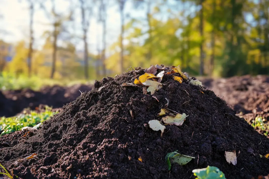 Let the Worms Decide