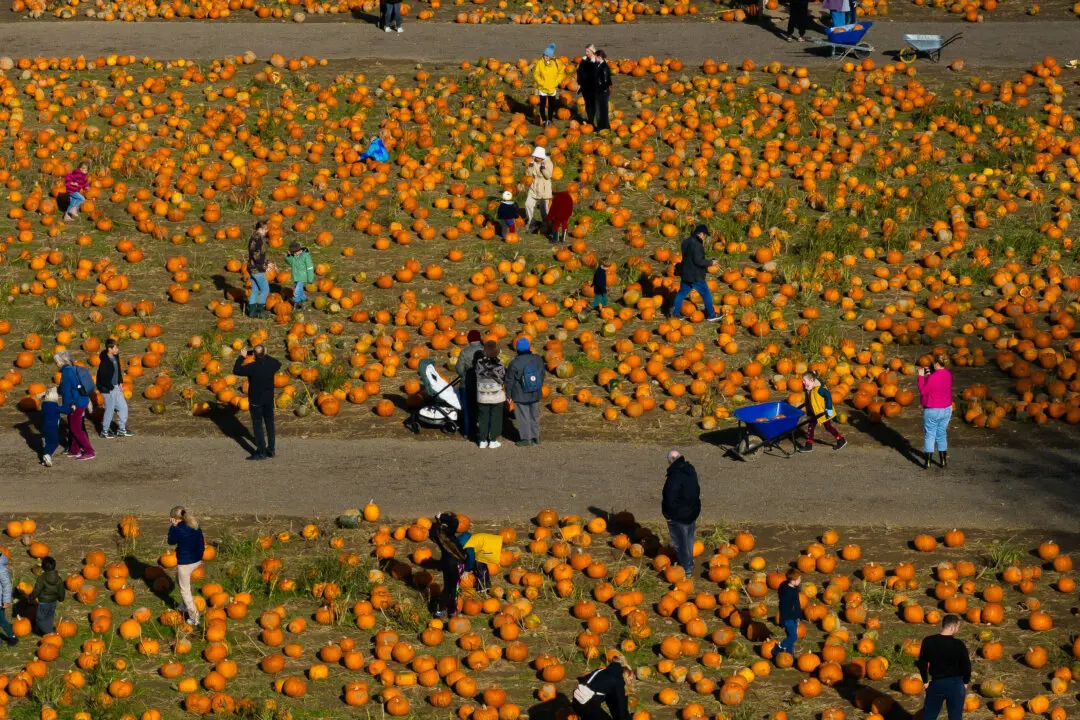 The Hardest Part of Any Business Isn’t the Work—It’s Us