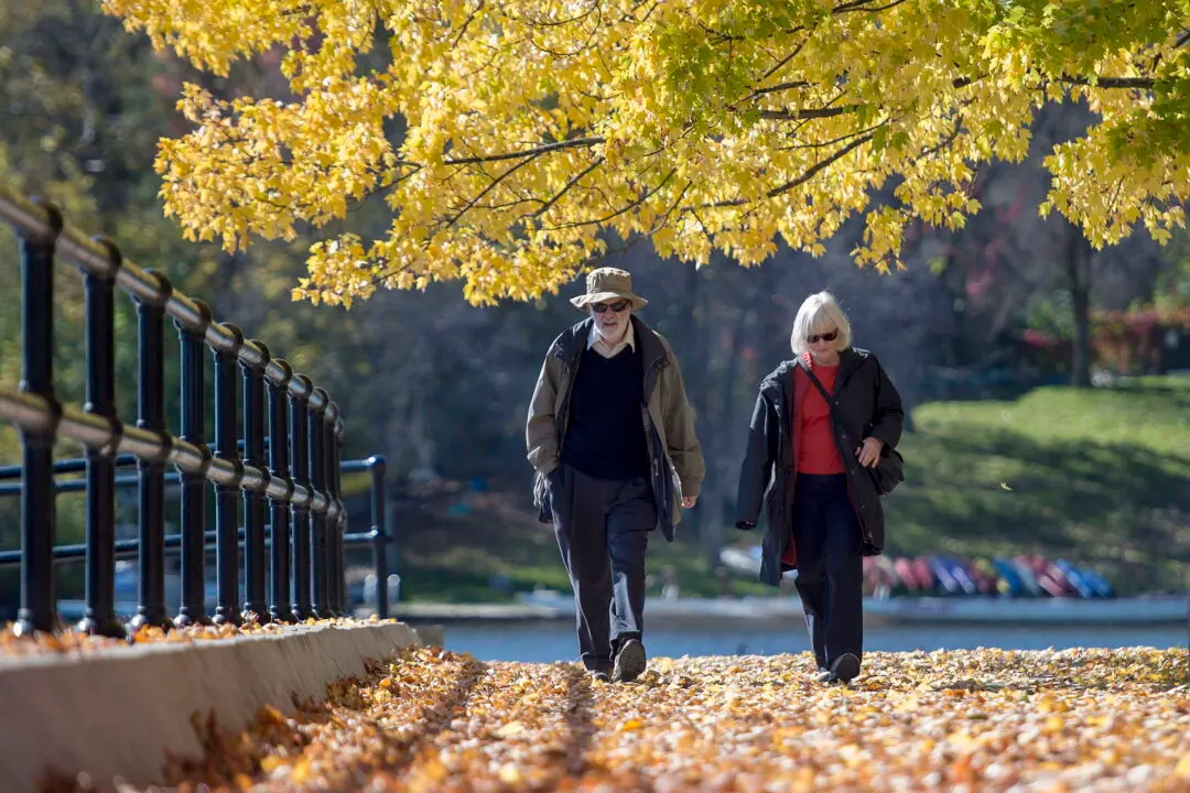 Ontario City to Fine Homeowners If Leaves Block Paths