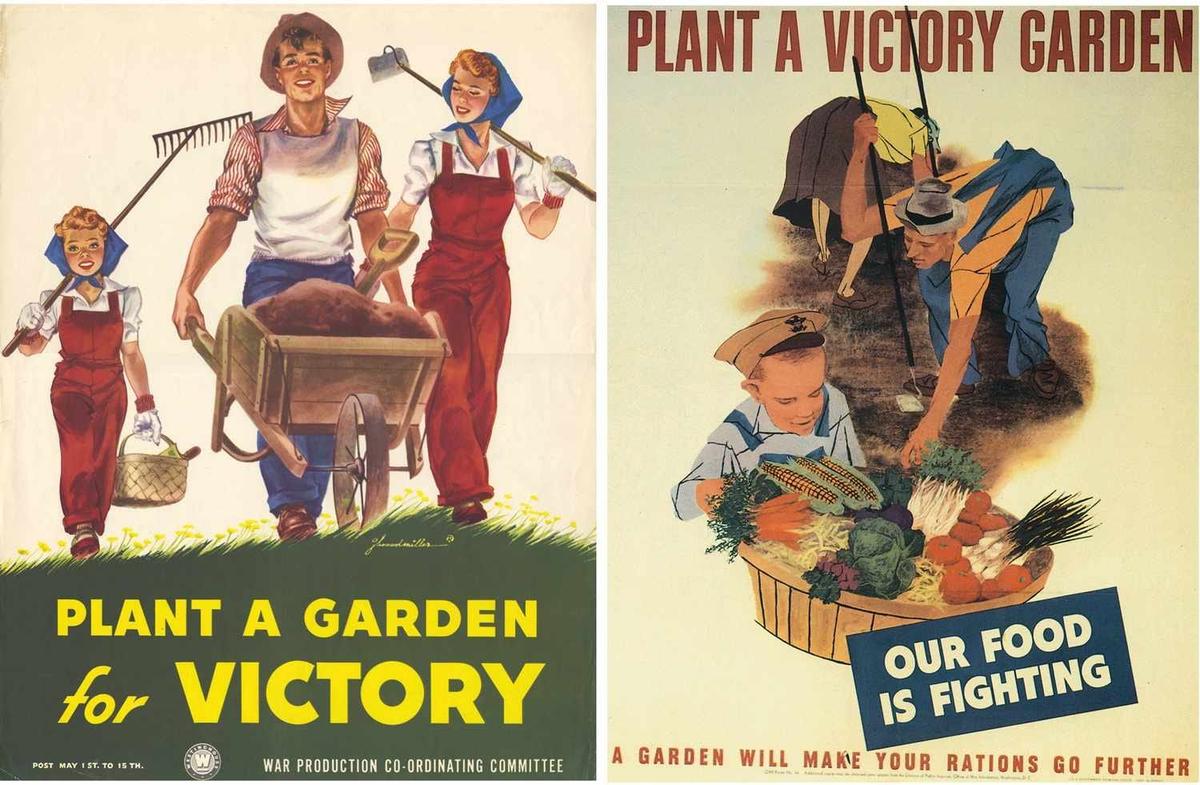 More than 20 million registered victory gardens supplied 40 percent of the United States' produce in 1945. (Courtesy of the Victory Garden Alliance)