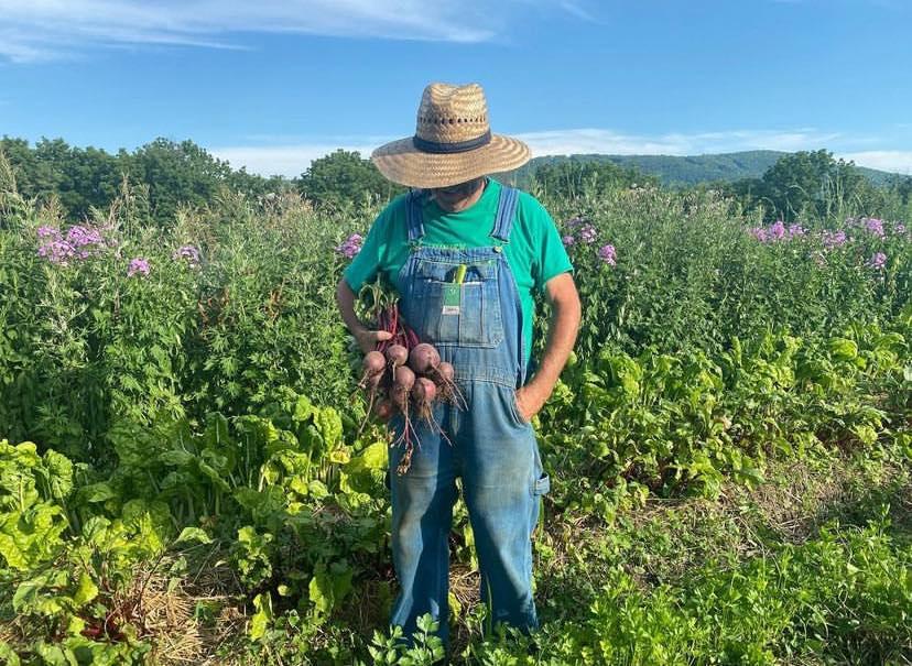 Victory gardens are sprouting around the country as part of the Victory Garden Alliance movement. (Courtesy of the Victory Garden Alliance)