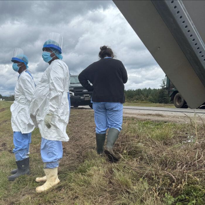 3 Monkeys Still on the Loose After Truck Overturns on Mississippi Highway