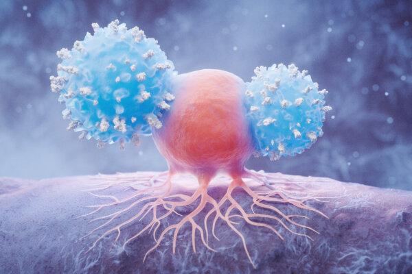 New Cancer Treatment Shrank Tumors in Half of Patients in Small Clinical Trial