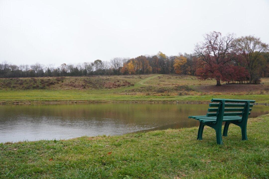 Neuhaus Announces Green Space Preservation Plans, Park Opening in OC