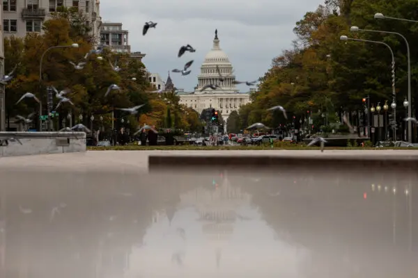 America in Photos: Halloween at the White House, Extended Government Shutdown, and ICE Operations in Chicago