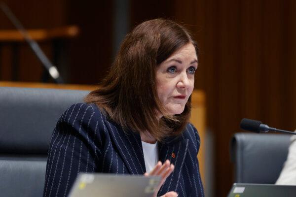 Sussan Ley Is ‘Losing Support,’ Victorian Liberal Senator Says