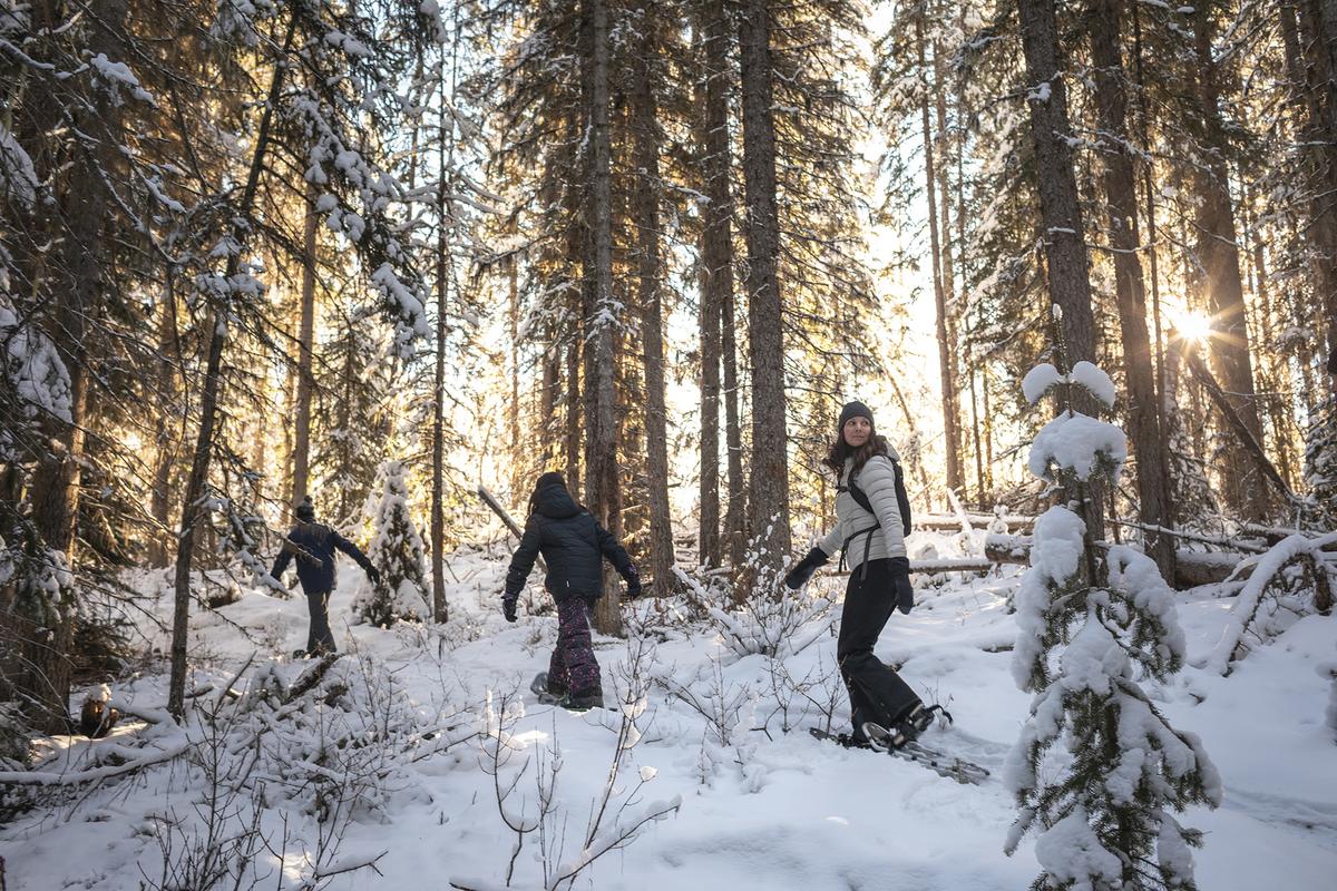 Layering correctly at the start of a hike prevents sweat from cooling the body too quickly once temperatures drop. (Adam and Kev/Getty Images)