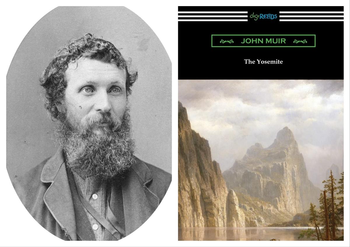 ‘The Yosemite’: A Love Letter to Nature thumbnail