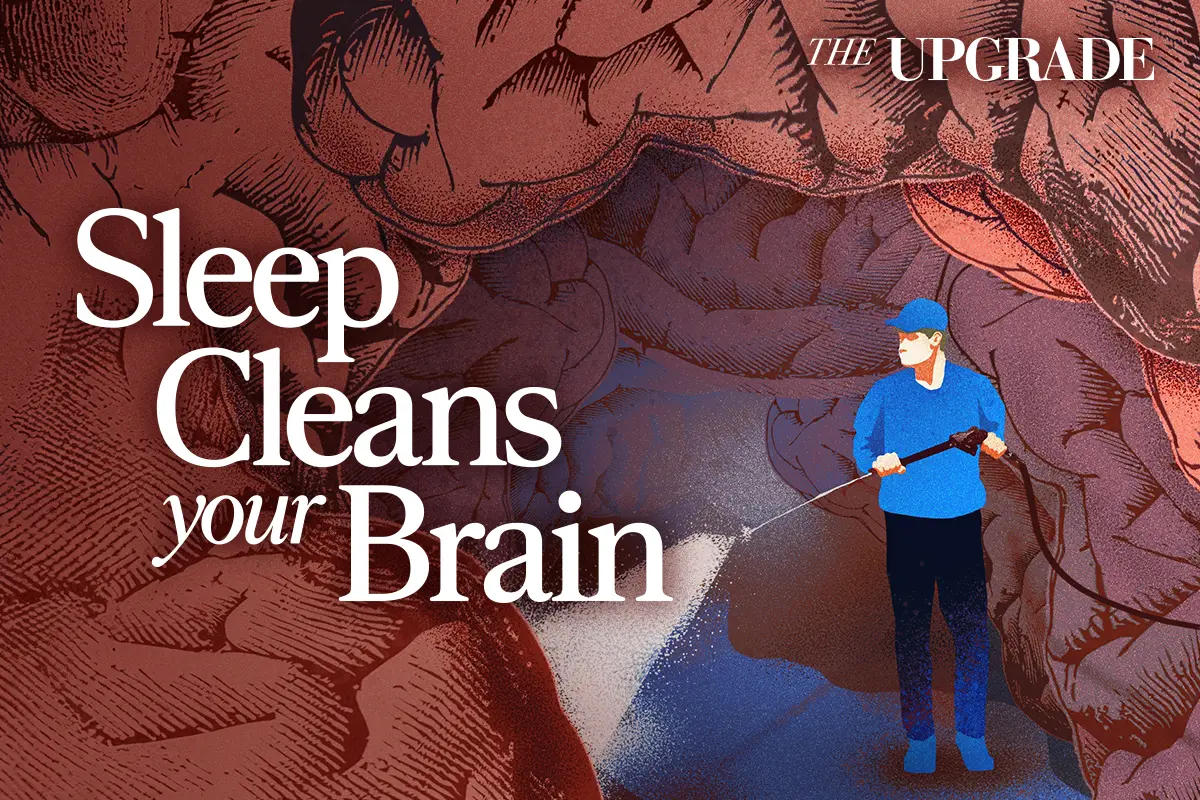Your Brain Cleans Itself at Night—What Happens When You Don’t Sleep thumbnail