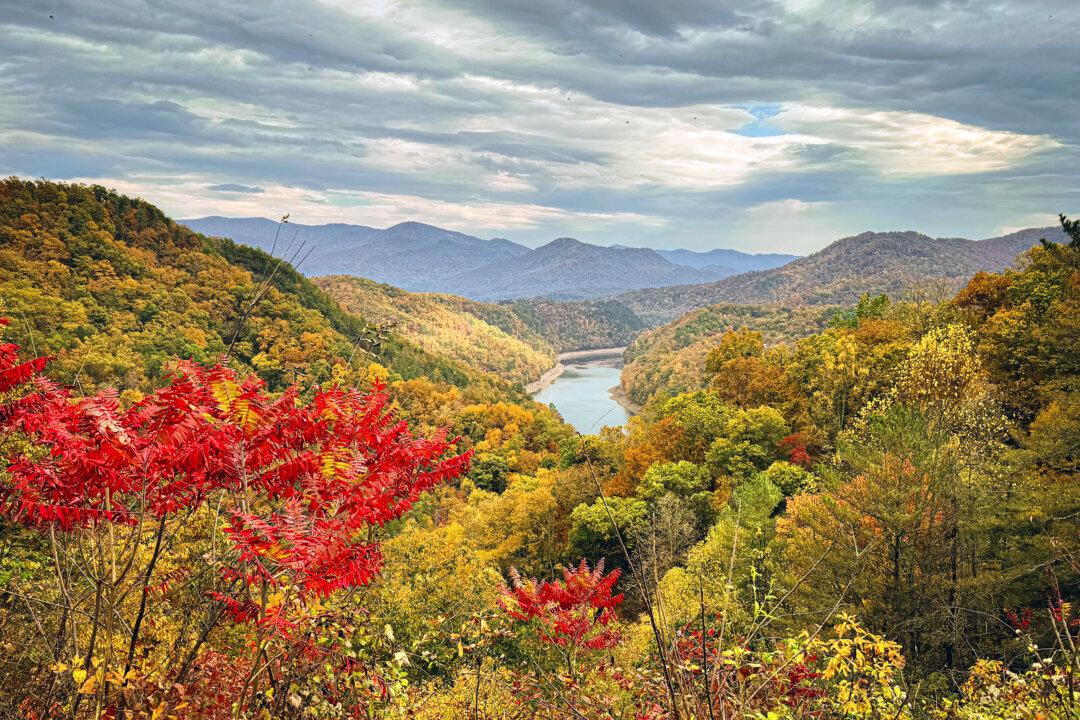 Tune in Today: Celebrating Vivaldi’s ‘Autumn’