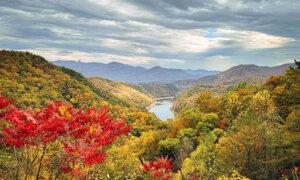 Tune in Today: Celebrating Vivaldi’s ‘Autumn’