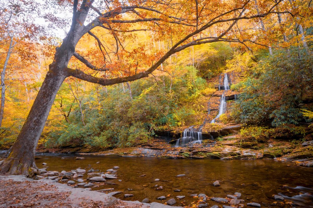 Deep Creek in the fall. (Swain County Tourism Development Authority/TNS)
