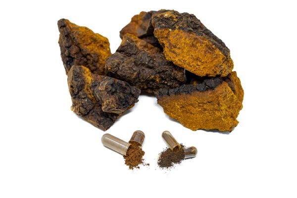chaga mushroom and capsules. (Shen Blossom)