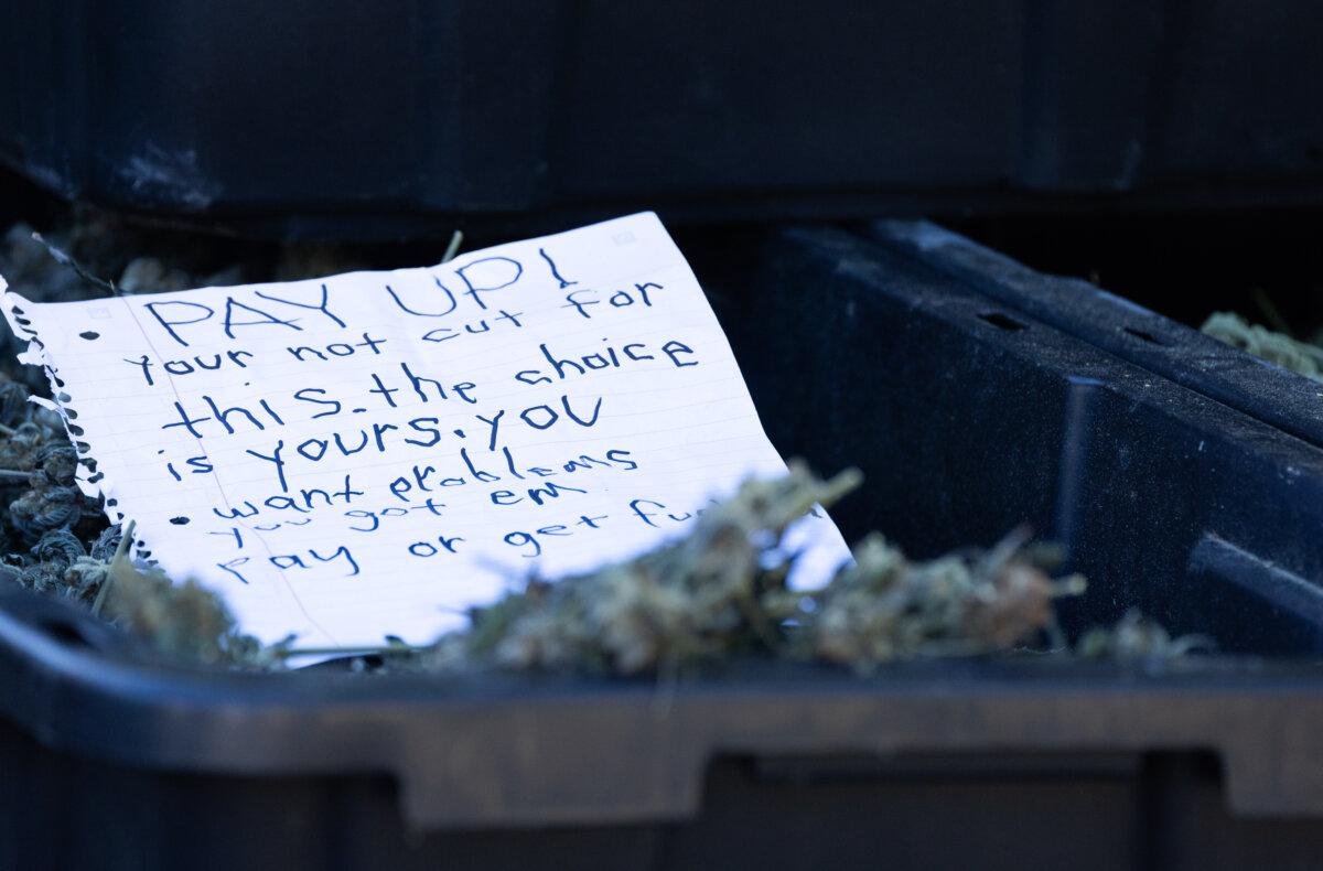 Sheriff’s deputies found a threatening note at an illegal marijuana grow site in the Perris area, Calif., on Nov. 4, 2025. (John Fredricks/The Epoch Times)