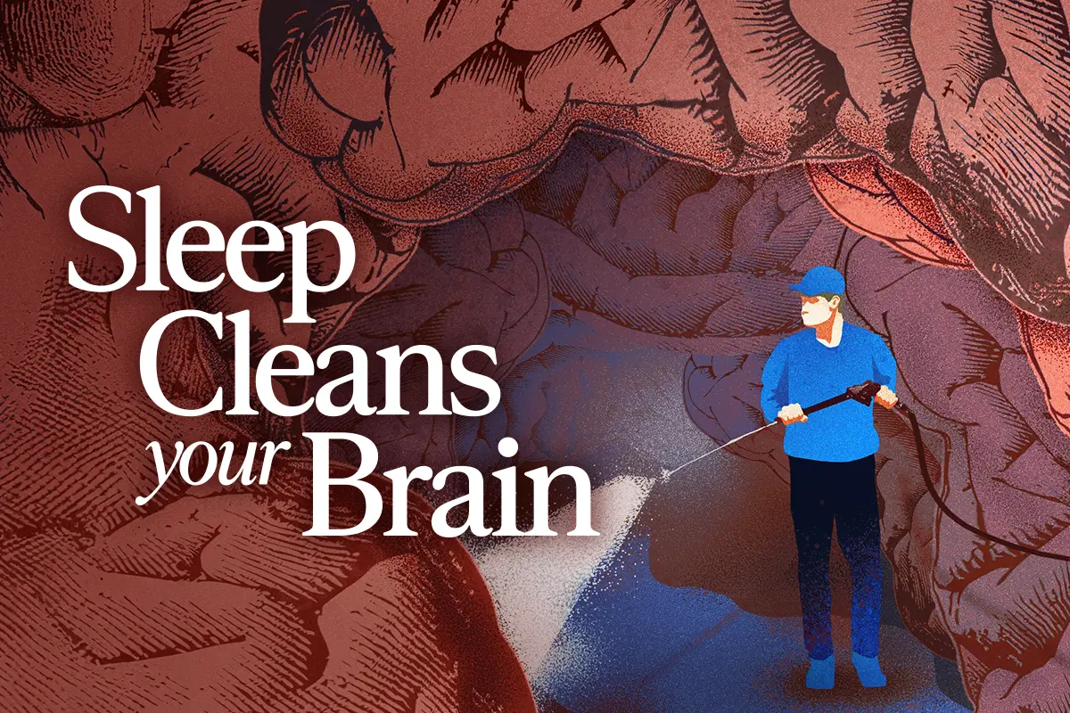 Your Brain Cleans Itself at Night—What Happens When You Don’t Sleep thumbnail