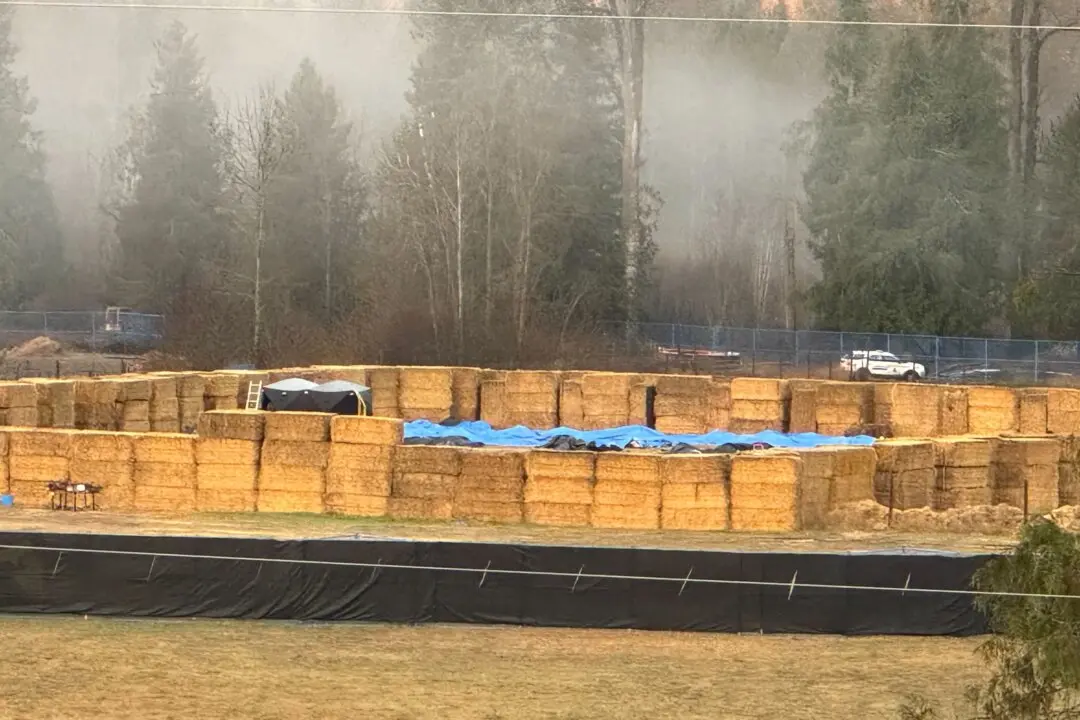 Food Inspection Agency Says ‘Active Operations’ at BC Ostrich Farm Have Ended