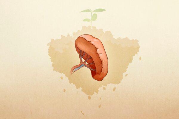 How Over Thinking Can Make You Ill