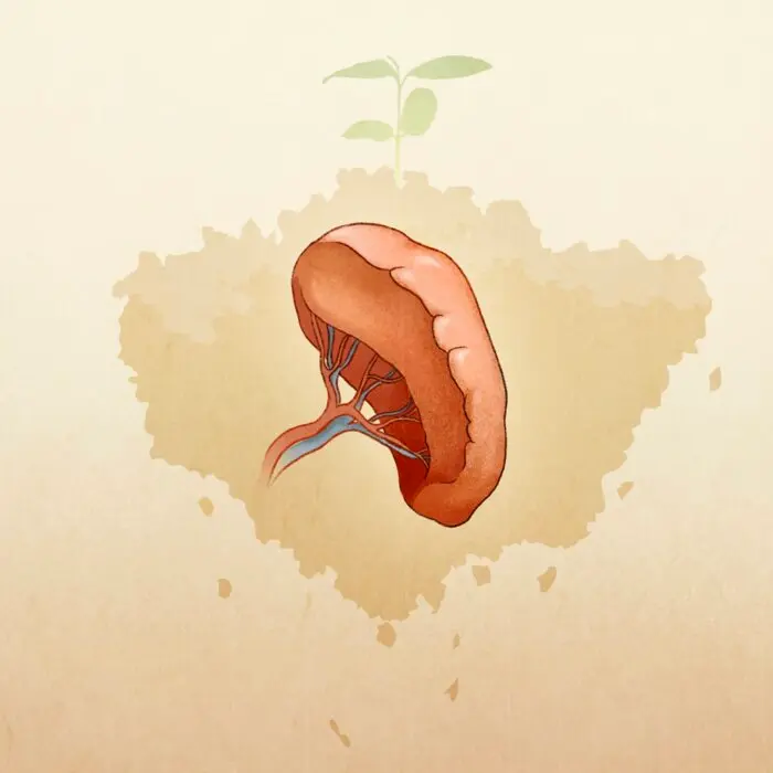 How Over Thinking Can Make You Ill