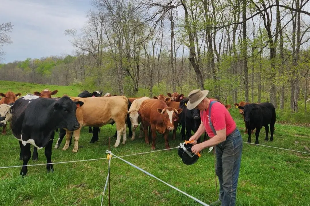 Scale Up Through Duplication, Not Size