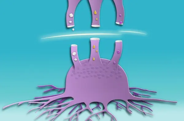 Beyond Sugar: Cancer Uses Alternative Fuels to Grow, and How to Stop It