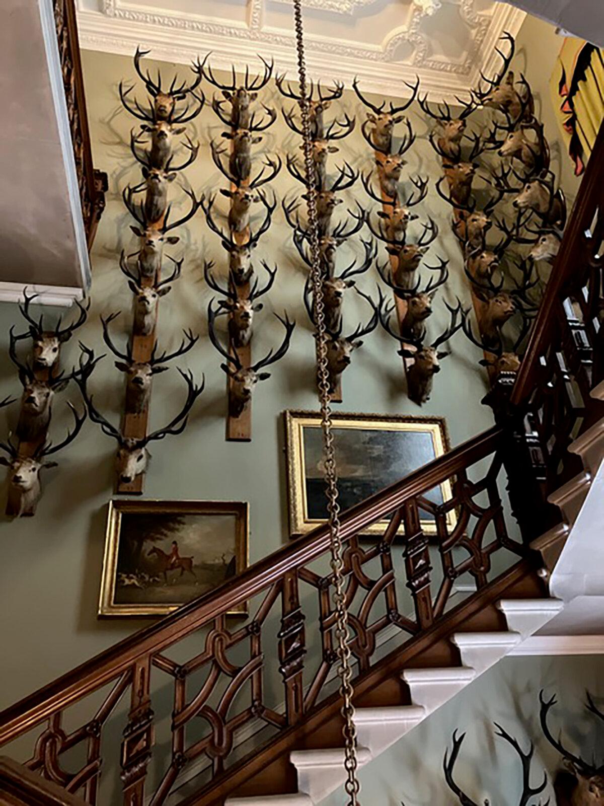 Brodick Castle ‘portraits’ on the Isle of Arran. (Carol Ann Davidson/TNS)