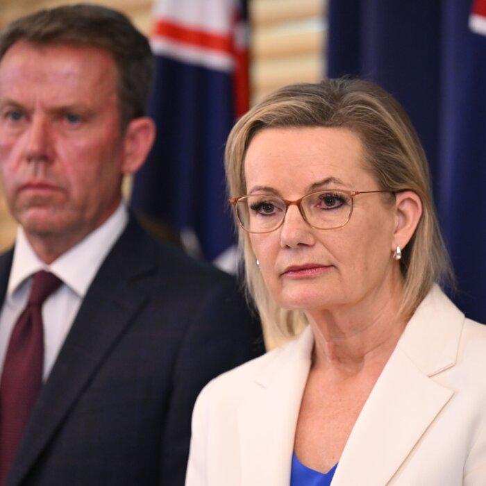 Opposition Cites Affordability Before Ideology in Move to Drop Net Zero Target