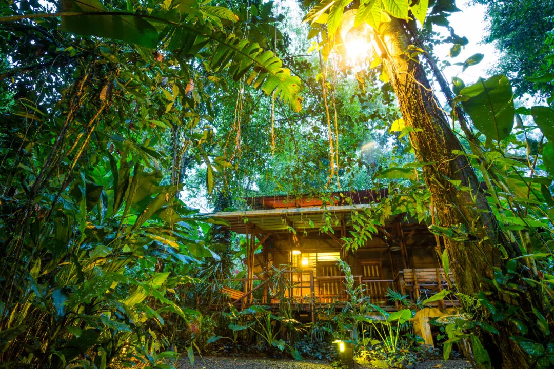 Where Americans Want to Travel in 2026 Is ‘Not so Obvious,’ Says Skyscanner