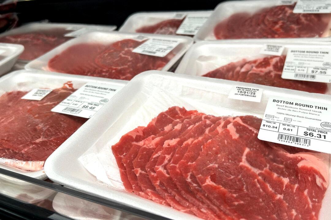 NTD Evening News Full Broadcast (Nov. 14)