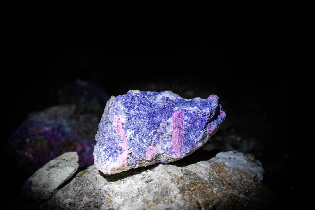 LIVE NOW: House Select Committee on the CCP Holds Hearing on Predatory Pricing in Global Mineral Markets