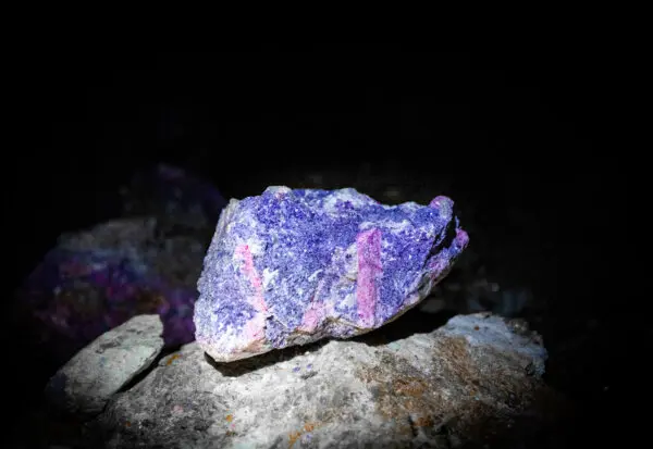 LIVE NOW: House Select Committee on the CCP Holds Hearing on Predatory Pricing in Global Mineral Markets