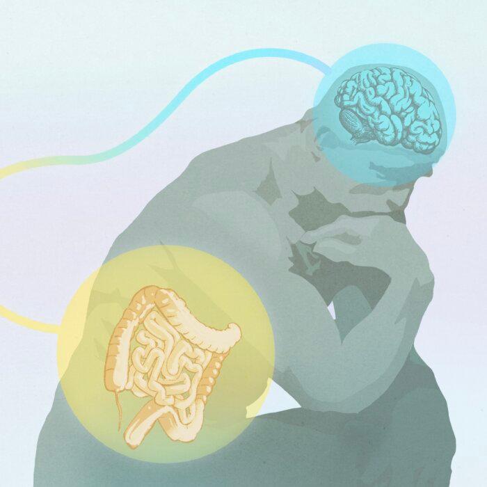 The Mystery of Intuition: Where Gut Feelings Really Come From