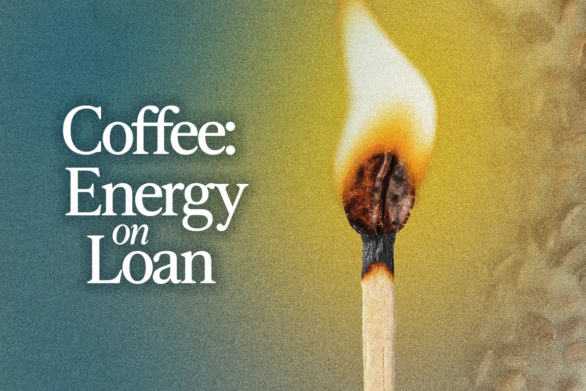 Coffee’s Energy Boost Is an Illusion thumbnail